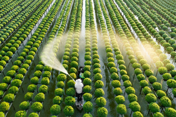 Gruppenreise Vietnam: Entspannt erleben 2026 | Erlebnisrundreisen.de