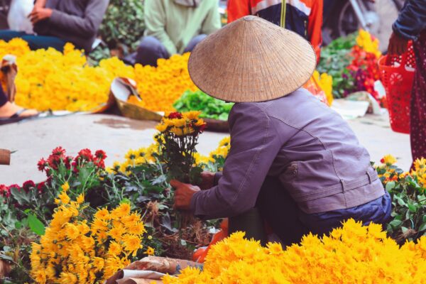 Gruppenreise Vietnam: Höhepunkte mit Zentralvietnam 2026 | Erlebnisrundreisen.de