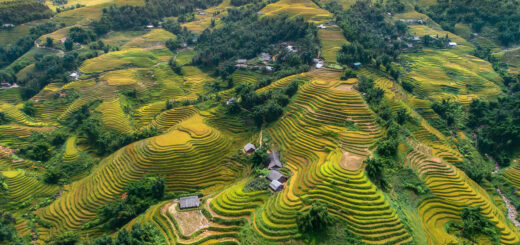 Rundreise Vietnam: Impressionen 2026 | Erlebnisrundreisen.de