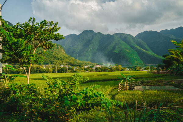 Erlebnis, Abenteuer & Begegnung Vietnam | Erlebnisrundreisen.de