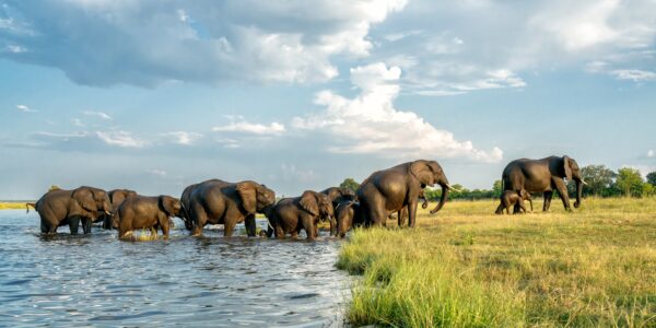 Erlebnis, Abenteuer & Begegnung Südafrika | Erlebnisrundreisen.de