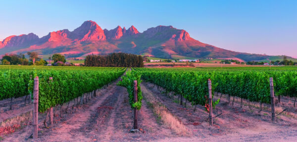 ZA-Suedafrika-Entspannt-erleben-skZARENT-7