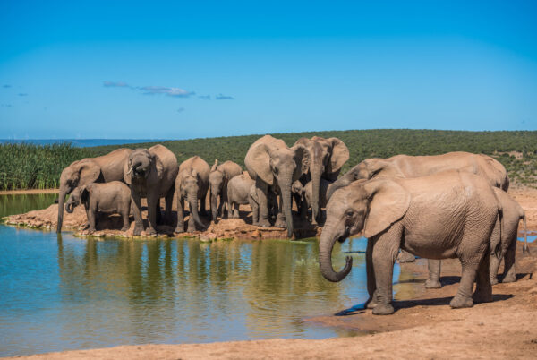 Gruppenreise Südafrika | Erlebnisrundreisen.de