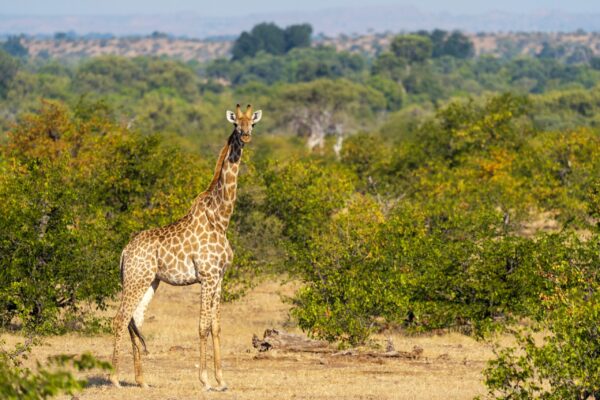 Gruppenreise Südafrika | Erlebnisrundreisen.de