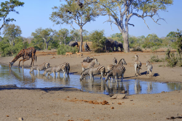 Gruppenreise Südafrika | Erlebnisrundreisen.de