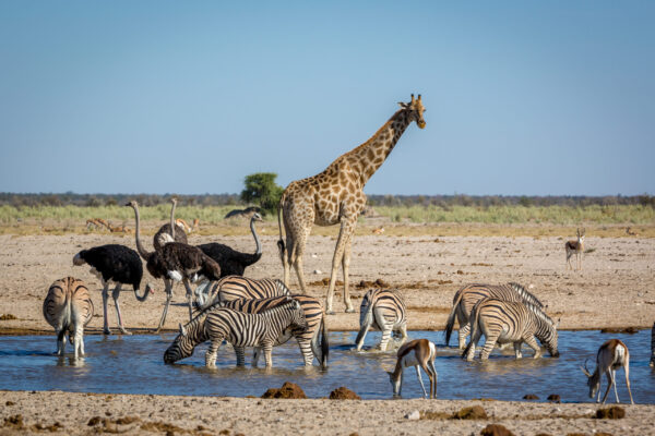 Gruppenreise Südafrika & Namibia: Die ausführliche Reise von Kapstadt bis Windhoek 2026 | Erlebnisrundreisen.de