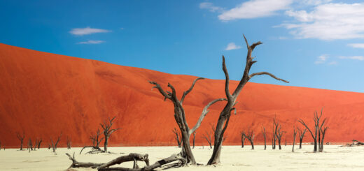 Rundreise Südafrika & Namibia: Die ausführliche Reise von Windhoek bis Kapstadt 2026 | Erlebnisrundreisen.de