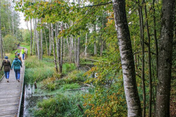 Moore, Wälder, Einsamkeit – all das erlebt man im Hinterland Litauens