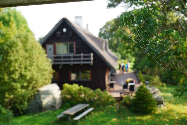 wunderschönes wildes Estland
