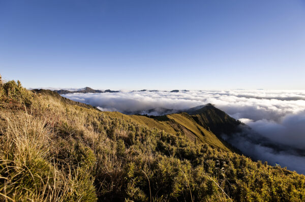 Naturparadies Taiwan Erlebnisreise - 2026 / 2027 | Tinta Tours Erlebnisreisen