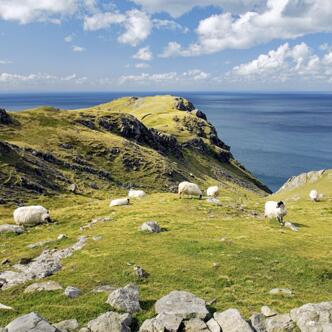 Irland Sonderreise