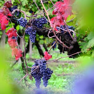 Italien Sonderreise