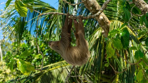 Panama | Erlebnisrundreisen.de