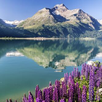 Schweiz-Eventreise-v3852518-3
