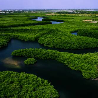 Senegal und Gambia Gruppenreise
