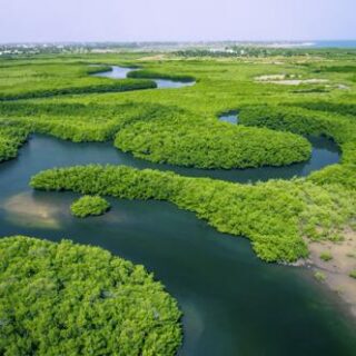 In 13 Tagen mit kultimer den Senegal und Gambia entdecken. Mit der Motoryacht Harmony V kreuzen eine Woche lang entlang der Westküste Afrikas und auf dem Gambia-River.