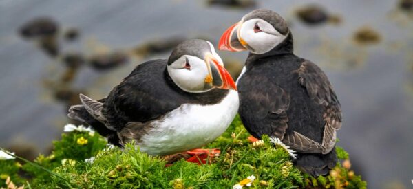 Rundreise in Kleingruppe Europa Island 2025 / 2026 | Erlebnisrundreisen.de