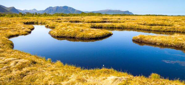 Norwegische Tundra