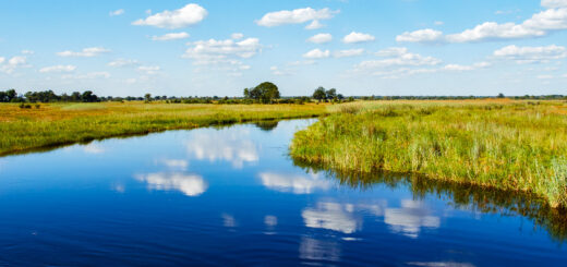 Rundreise Botswana, Simbabwe und Namibia 2025 / 2026 | Erlebnisrundreisen.de