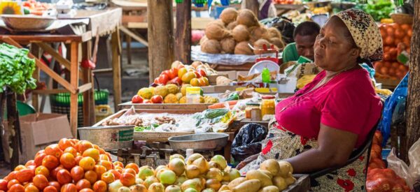 14 Tage Erlebnisreise Afrika Mosambik 2025 / 2026 | Erlebnisrundreisen.de