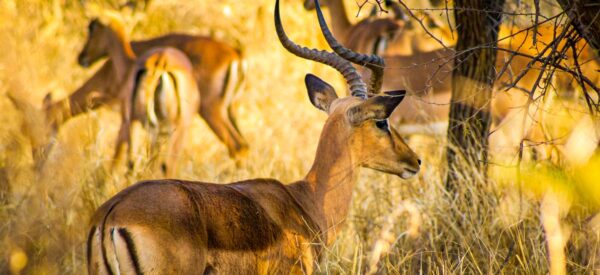 Erlebnisreisen Afrika Kleingruppenreise | Erlebnisrundreisen.de