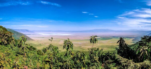 14 Tage Erlebnisreise Afrika Tansania 2025 / 2026 | Erlebnisrundreisen.de