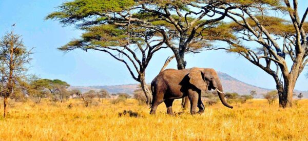 Erlebnisreisen Afrika Kleingruppenreise | Erlebnisrundreisen.de