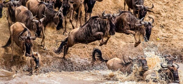 Crossing