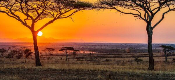 Erlebnisreisen Afrika Kleingruppenreise | Erlebnisrundreisen.de