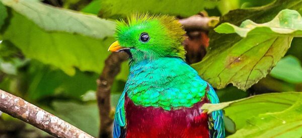Costa Rica Erlebnisreise mit höchstens 12 Gästen 2025 / 2026 | Erlebnisrundreisen.de