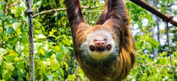 Kleingruppenreise Costa Rica 2025 / 2026 | Erlebnisrundreisen.de
