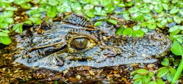 Erlebnisreisen Amerika Kleingruppenreise | Erlebnisrundreisen.de