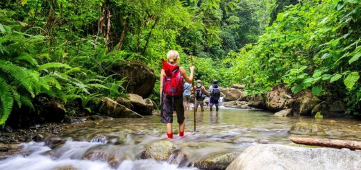 Rundreise Costa Rica 2025 / 2026 | Erlebnisrundreisen.de
