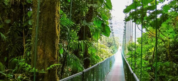 Rundreise in Kleingruppe Amerika Costa Rica 2025 / 2026 | Erlebnisrundreisen.de