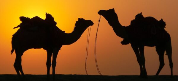 Erlebnisreisen Asien Kleingruppenreise | Erlebnisrundreisen.de