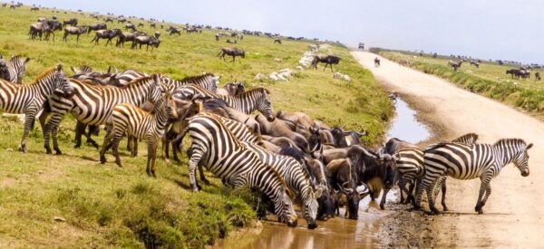 Erlebnisreisen Afrika Kleingruppenreise | Erlebnisrundreisen.de