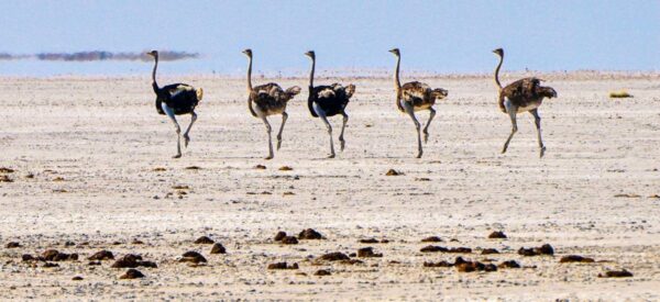 Erlebnisreisen Afrika Kleingruppenreise | Erlebnisrundreisen.de