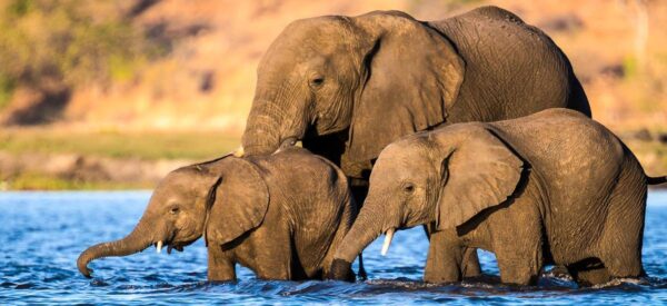 Rundreise in Kleingruppe Afrika Botswana, Simbabwe & Namibia 2025 / 2026 | Erlebnisrundreisen.de
