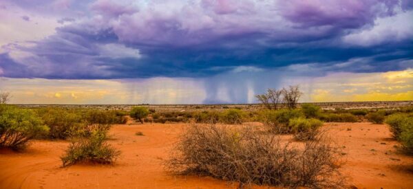 15-Tage-Erlebnisreise_2025-2026-Afrika-Botswana-Simbabwe-Namibia-BWOKA-8