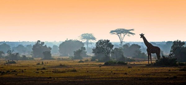 15 Tage Erlebnisreise Kenia 2025 / 2026  | Erlebnisrundreisen.de