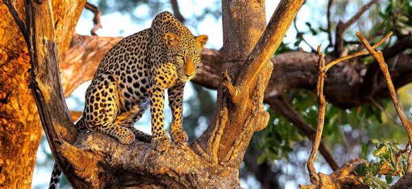 15 Tage Erlebnisreise Afrika Kenia 2025 / 2026 | Erlebnisrundreisen.de