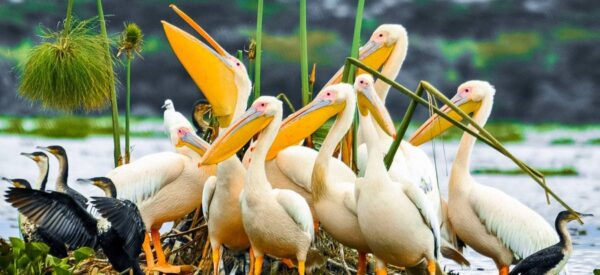 Erlebnisreisen Afrika Kleingruppenreise | Erlebnisrundreisen.de