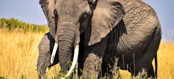 Kleingruppenreise Kenia 2025 / 2026 | Erlebnisrundreisen.de