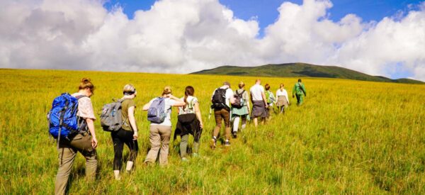 Wanderung durch den Krater