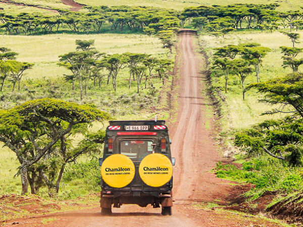 15-Tage-Erlebnisreise_2025-2026-Afrika-Tansania-TZYUN-19
