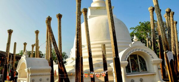 15 Tage Erlebnisreise Sri Lanka 2025 / 2026  | Erlebnisrundreisen.de