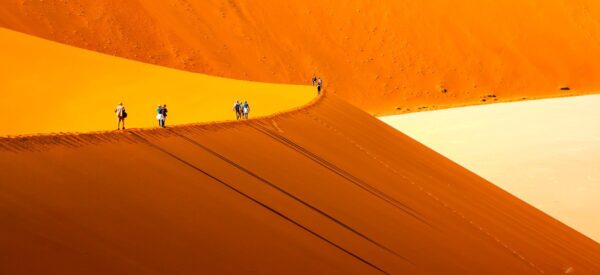Botswana, Namibia und Simbabwe Erlebnisreise mit höchstens 12 Gästen 2025 / 2026 | Erlebnisrundreisen.de