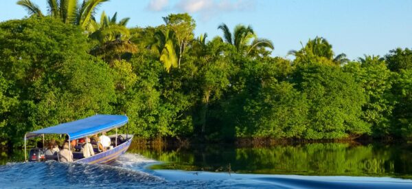Bootsfahrt im Amazonas-Gebiet