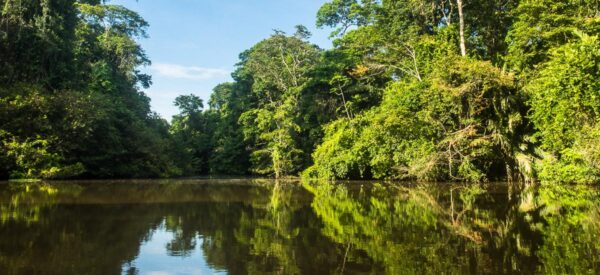 Tortuguero Nationalpark