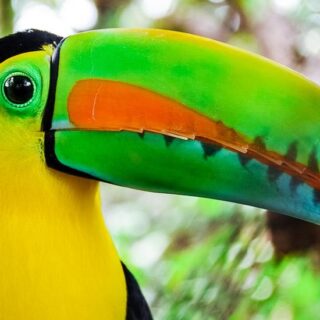 Rundreise Costa Rica 2025 / 2026 | Erlebnisrundreisen.de